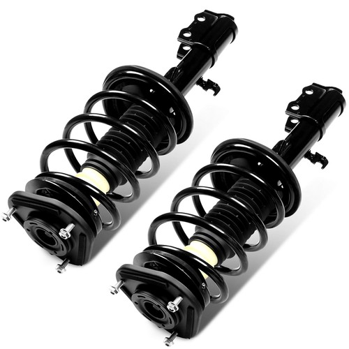 Front struts assembly - front,