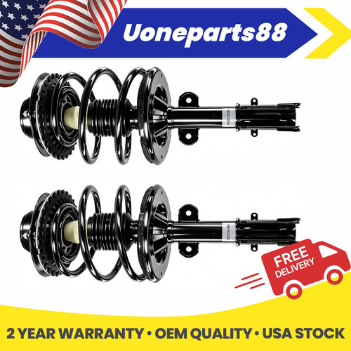 Pair front struts shock - pair, for